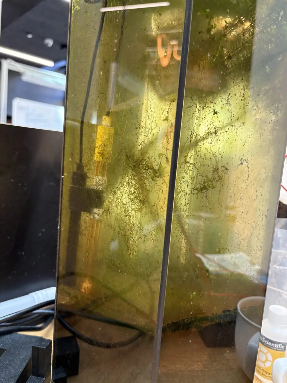 Redoxa sensor and laboratory water tank